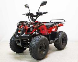 Квадроцикл GreenCamel Атакама T120 (48V 800W R8 Цепь) красный купить в Воронеже