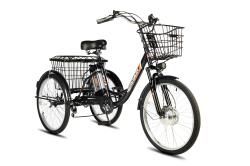 Электровелосипед трехколесный для взрослых РВЗ Чемпион 24" 6 скоростей. 250Вт., 10Ач купить в Воронеже