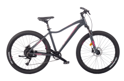 ВЕЛОСИПЕД BOZGOO DOLCE (GRAPHITE GRAY/PINK) (2024) купить в Воронеже