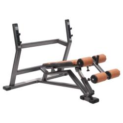 Скамья с отрицательным углом FitWorld FW-0630  купить в Воронеже