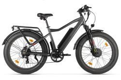Электровелосипед Eltreco BigCat Dual Next черный внешний вид