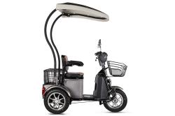 ТРИЦИКЛ S1 V2 LUX (С КРЫШЕЙ) купить в Воронеже