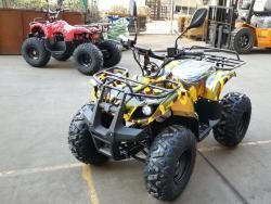 Квадроцикл GreenCamel Атакама T320 (48V 1000W R8 Дифференциал) желтый купить в Воронеже