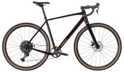 Шоссейный велосипед Trek Checkpoint ALR 3 (2026) Фиолетово-черный купить в Воронеже