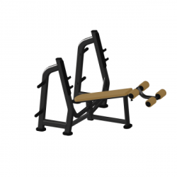 ЖИМ ЛЕЖА С ОТРИЦАТЕЛЬНЫМ УГЛОМ FITON J-024 купить в Воронеже