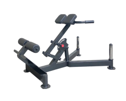 Гиперэкстензия наклонная 45 градусов DEXsport AS-002 купить в Воронеже