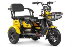 Грузовой электро трицикл Rutrike Бумеранг купить в Воронеже