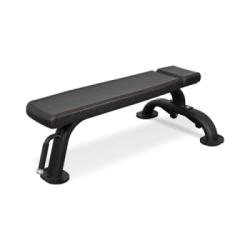 Скамья горизонтальная BRONZE GYM BR-1002 купить в Воронеже