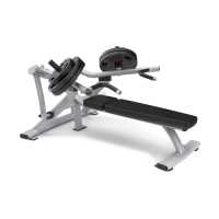 MATRIX MAGNUM MG-PL13 Независимая прямая скамья для жима купить в Воронеже