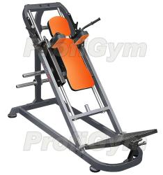 Cтанок Гаккеншмидта ProfiGym ТД-0020-D купить в Воронеже