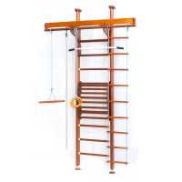 Дск Карусель 2д.02.01 + Тренажер Для Осанки №2 купить в Воронеже