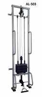 Тренажер Бубновского Одиночная рама (реабилитационная) AlivSport AL-503 купить в Воронеже