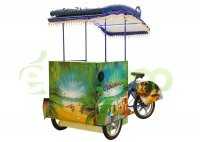 Велорикша Муравей Z1 Холодильник Автономный Солнечный Электро купить в Воронеже