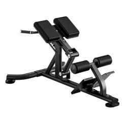 Гиперэкстензия BRONZE GYM RAVE RE52 купить в Воронеже