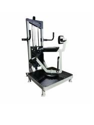 Торс - машина (70 кг) DEXsport AG-026 купить в Воронеже