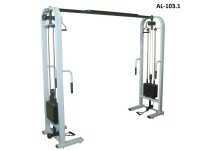 Тренажер кроссовер AlivSport AL-103.1 купить в Воронеже