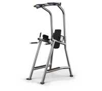 Турник-пресс-брусья Matrix Magnum A63c купить в Воронеже