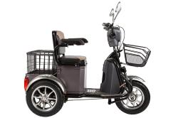 Трицикл Green city S1 V2 коричневый купить в Воронеже