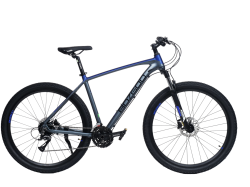 Велосипед BOZGOO GRANDE (GREY/BLUE) (2024) купить в Воронеже