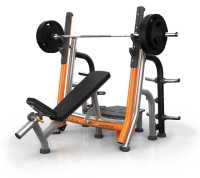 Скамья для жима с положительным наклоном с доводчиком MATRIX MAGNUM A679 купить в Воронеже