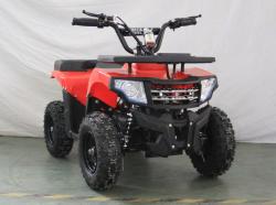 Квадроцикл GreenCamel Гоби K24 (36V 800W R6 Цепь)красный купить в Воронеже