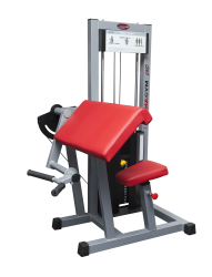 Бицепс машина SigmaGym BF106 купить в Воронеже