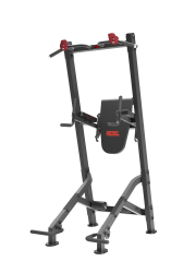 ТРЕНАЖЕР ПРЕСС-ТУРНИК-БРУСЬЯ REBEL VKR93 купить в Воронеже