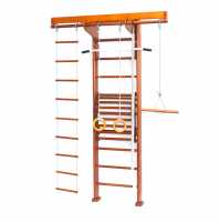 Дск Карусель 2д.02.02 К Стене + Тренажер Для Осанки №2 купить в Воронеже