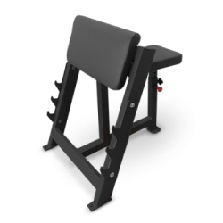 Скамья Скотта BRONZE GYM AL-303 купить в Воронеже