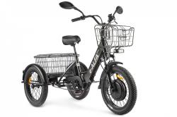 Трицикл GREEN CITY e-ALFA Trike черный купить в Воронеже