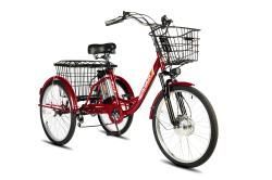 Трехколесный велосипед для взрослых РВЗ Чемпион 20" 1 скорость. (складной) купить в Воронеже