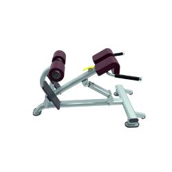 Гиперэкстензия UltraGym UG-KJ1258 купить в Воронеже