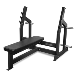 Скамья для жима горизонтальная BRONZE GYM AL-304 купить в Воронеже