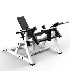 Разгибание ног сидя Gymmaster V23 купить в Воронеже