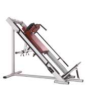 Bronze Gym H-022a Гак-машина купить в Воронеже