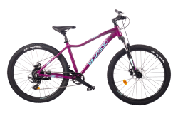 Велосипед BOZGOO CARINO (PURPLE/BLUE) (2024) купить в Воронеже