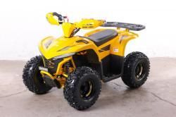 Квадроцикл GreenCamel Гоби K90 (48V 750W R7 Дифф) LUX Bluetooth желтый купить в Воронеже