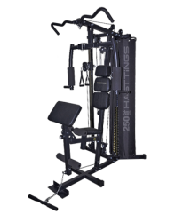 Мультистанция Hasttings HastPower 250 купить в Воронеже