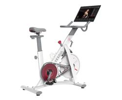 Велотренажер Yesoul BS3-W PRO PLUS купить в Воронеже