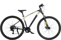 ВЕЛОСИПЕД BOZGOO PRIMO 29 (GRAY/LIGHT GRAY) (2024) купить в Воронеже