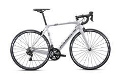 Шоссейный велосипед Pardus Robin Sport Rim 105 (2026) белый внешний вид