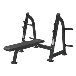 Скамья для жима горизонтальная BRONZE GYM BR-1012 купить в Воронеже