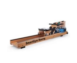 Гребной тренажер DFC SmartGym WR-02 купить в Воронеже