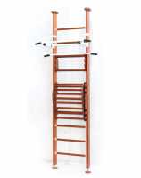 Дск Карусель 2д.03.01 + Тренажер Для Осанки №2 купить в Воронеже