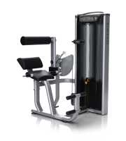 Разгибание спины Matrix Versa VS-S52P купить в Воронеже