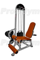 Квадрицепс-машина ProfiGym ТГ-0110-C купить в Воронеже