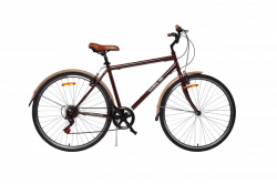 Велосипед WELS Senator (2022) коричневый купить в Воронеже