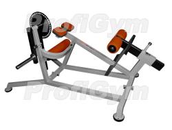 Маятник пресса и спины ProfiGym ТД-0250-D купить в Воронеже