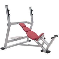 Наклонная скамья для жима FitWorld FW-0650  купить в Воронеже