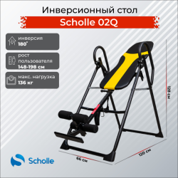 Инверсионный стол Scholle 02Q купить в Воронеже